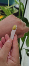 Load image into Gallery viewer, Arnica + Chamomile Whipped Balm