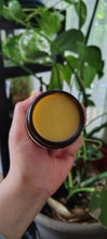 Load image into Gallery viewer, Arnica + Chamomile Whipped Balm