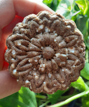 Load image into Gallery viewer, Amla (Indian Gooseberry) + Shikakai Ayurvedic Shampoo Bar (all hair & scalps, mostly sensitive scalps)