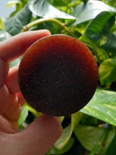 Load image into Gallery viewer, Hemp + Nopal (Mexican Cactus) Face & Body Soap