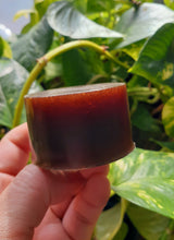 Load image into Gallery viewer, Hemp + Nopal (Mexican Cactus) Face & Body Soap