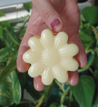 Load image into Gallery viewer, Fig + Berries Moisturizing Naked Body Butter Bar | Solid Moisturizer