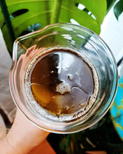 Load image into Gallery viewer, Green Tea + Peppermint Hair & Scalp Oil - Infused with coffee beans from Anticonquista Café