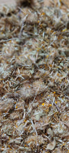 Load image into Gallery viewer, Arnica + Chamomile Whipped Balm
