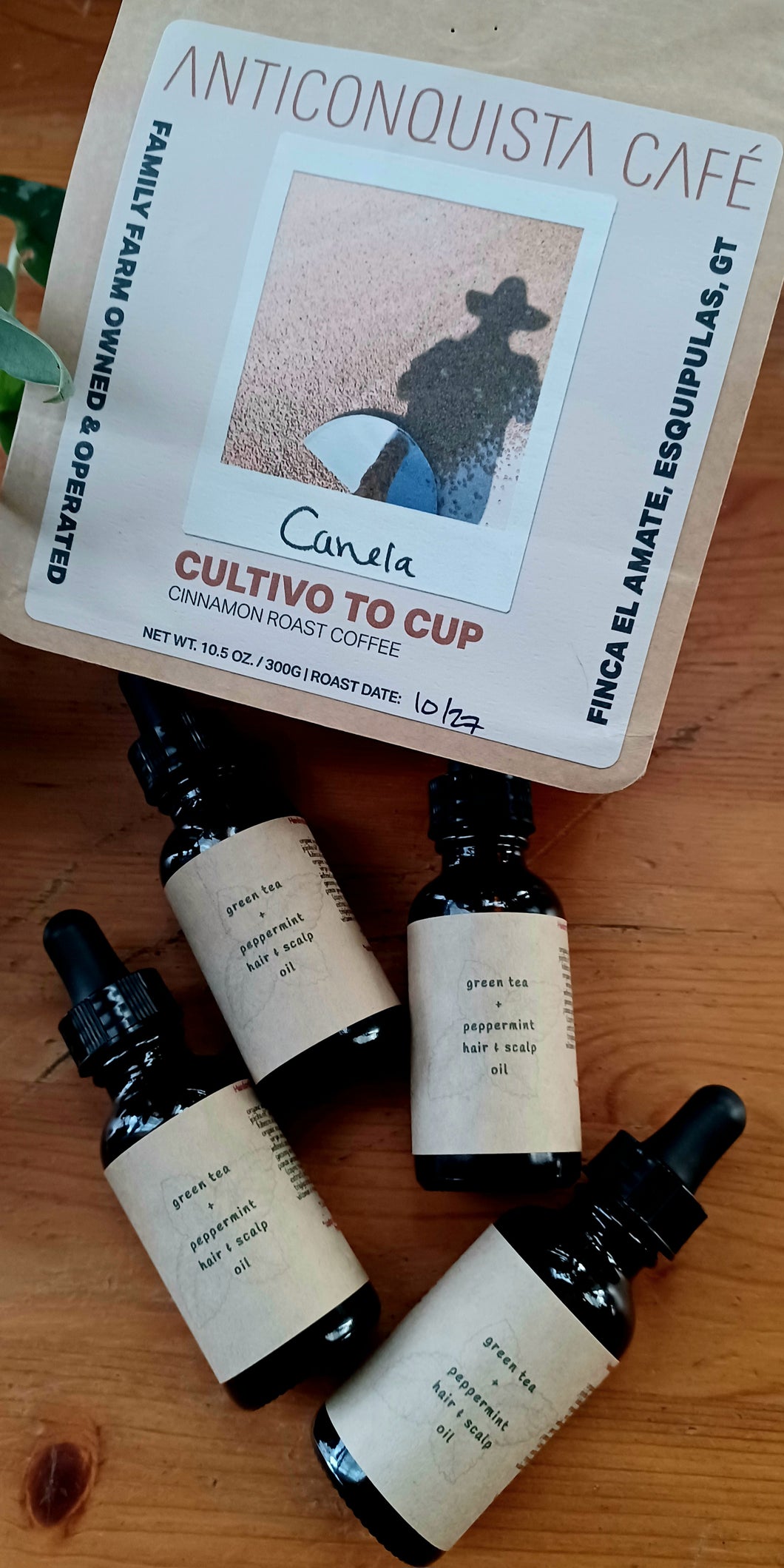 Green Tea + Peppermint Hair & Scalp Oil - Infused with coffee beans from Anticonquista Café
